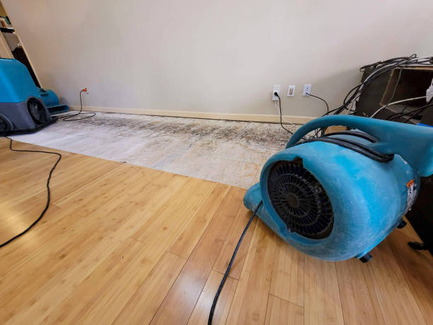 Professional Ceiling Water Damage Repair technician working in Bradley, ME